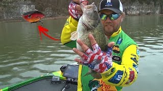 Pump it up in the rocks for big bites !!