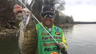 Shad Kill and Giant Smallmouth